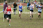 Boys under-13s, 2020 British Athletics Inter Counties Cross Country Champs., Prestwold Hall, Loughborough. Photo: David T. Hewitson/Sports for All Pics